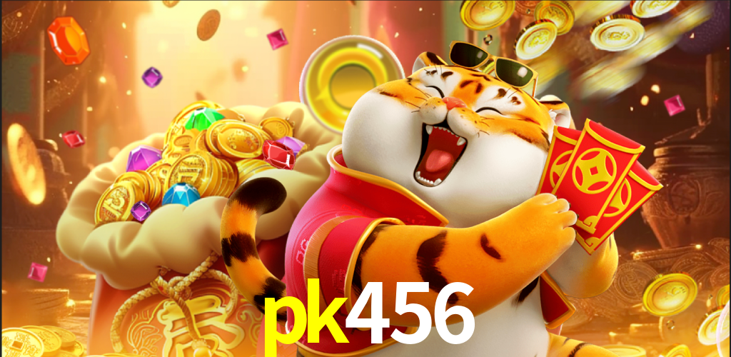 Programa VIP pk456
