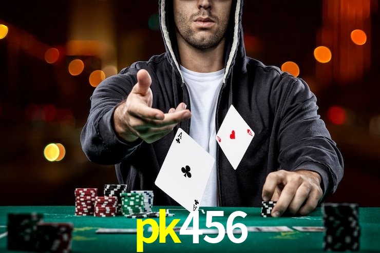 pk456 App Interface