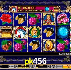 Descubra a Magia dos Jogos de Arcade no pk456